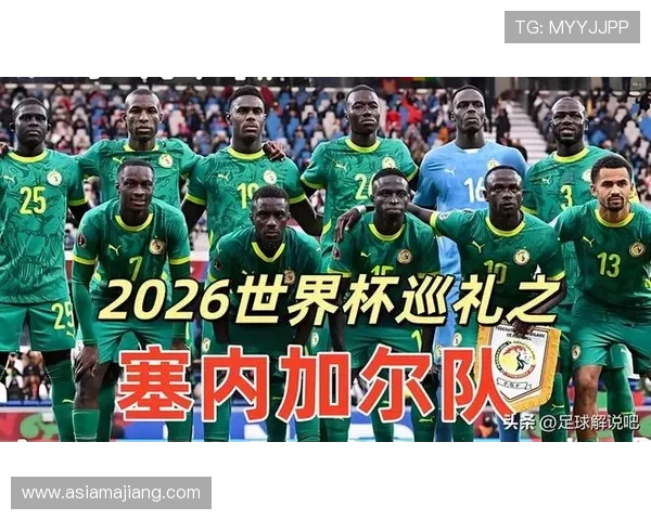 世界杯法国对塞内加尔正式比赛中的裁判判罚争议与比赛公正性探讨